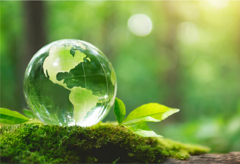 SDGs宣言について